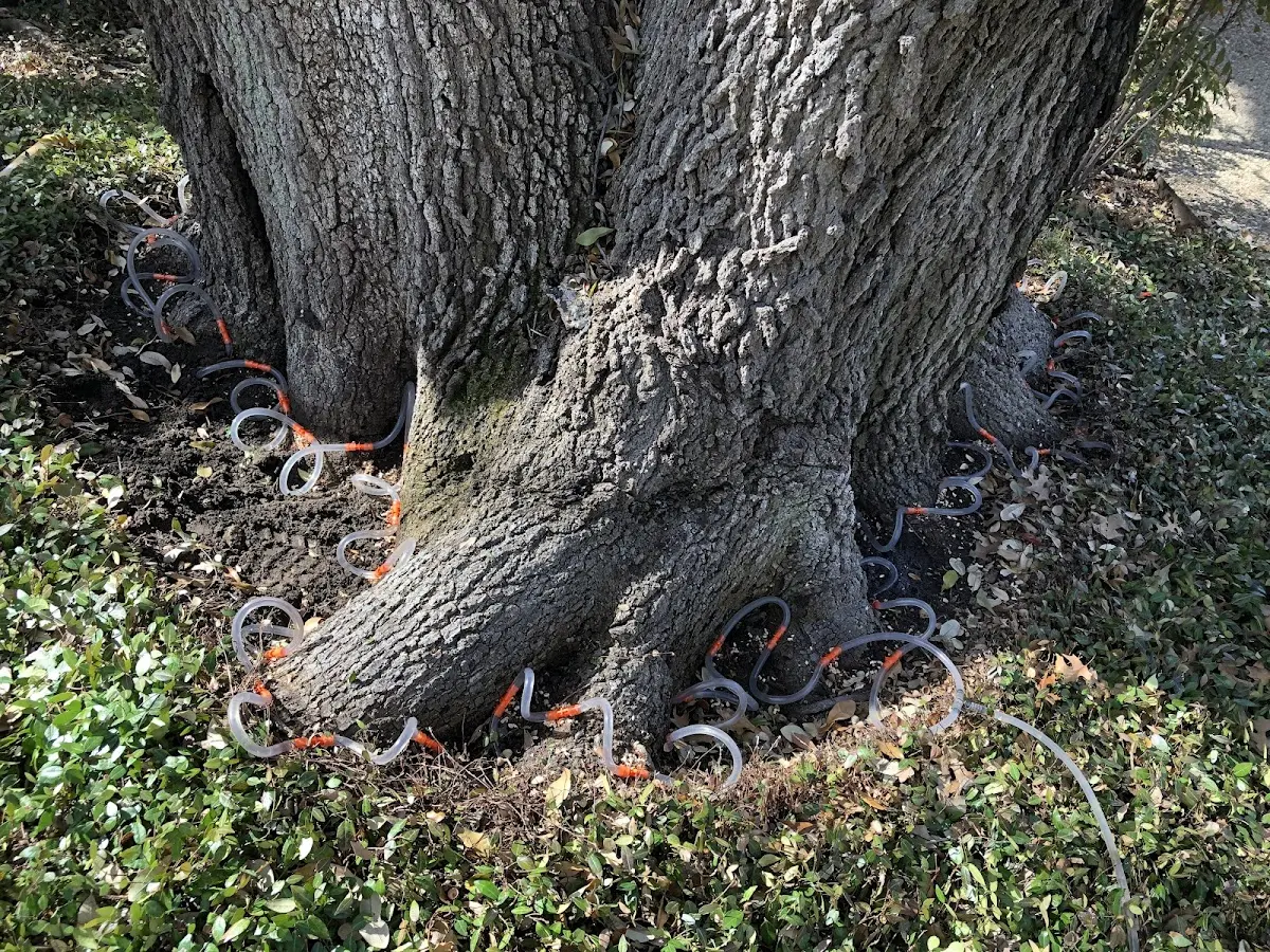 Detailed Shrub and Hedge Trimming job site in La Pine