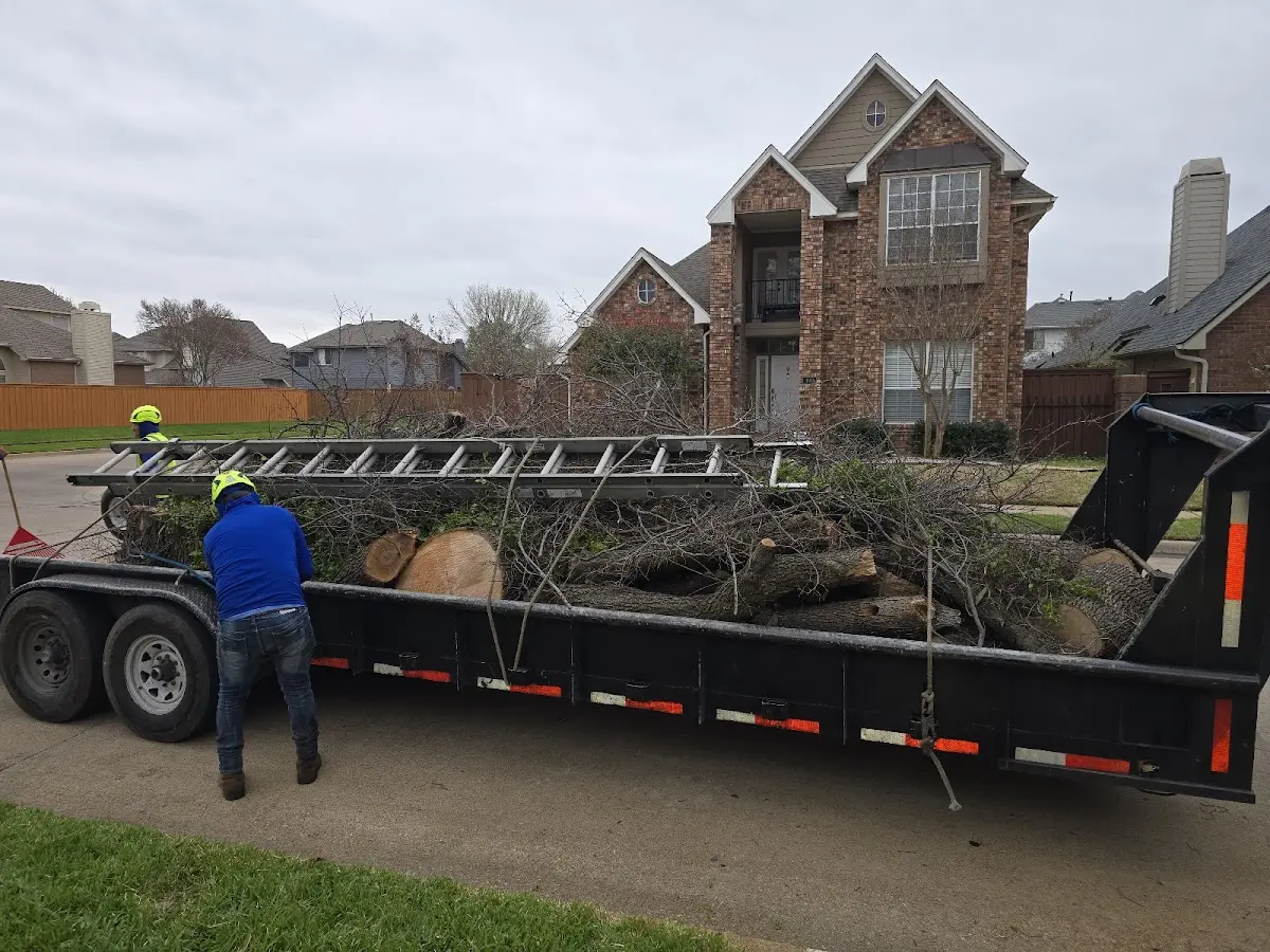 Expert Lot Clearing with proper safety equipment in La Pine